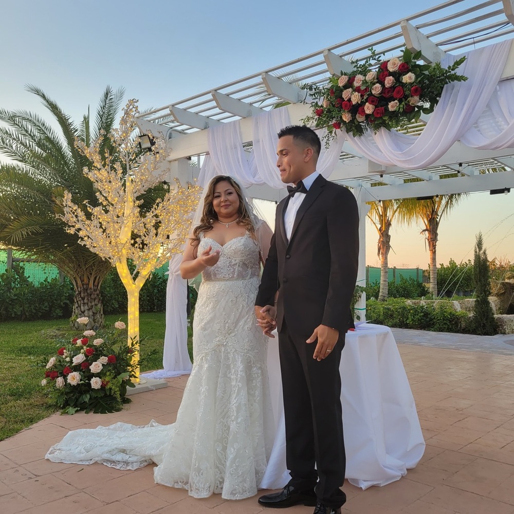 David's Bridal Ivory Lace Wedding Dress & Veil